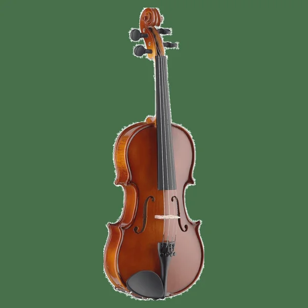 Stagg VN-4/4 Viool 4/4 model Massief Esdoorn