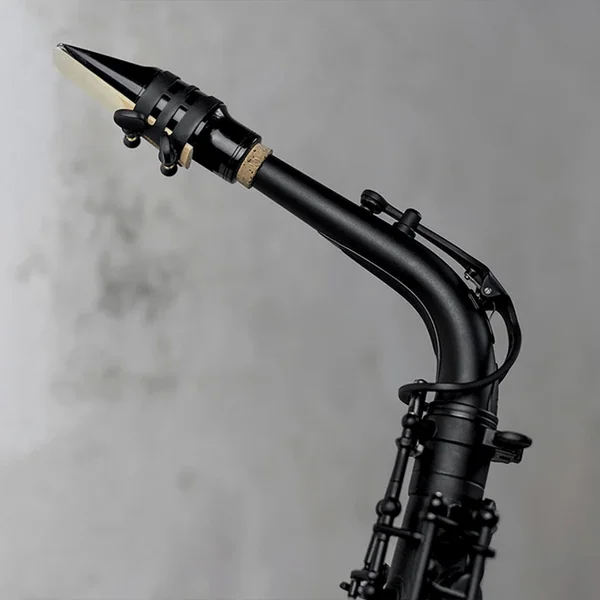 Stalaxy "Eclipse" Altsaxofoon Zwart