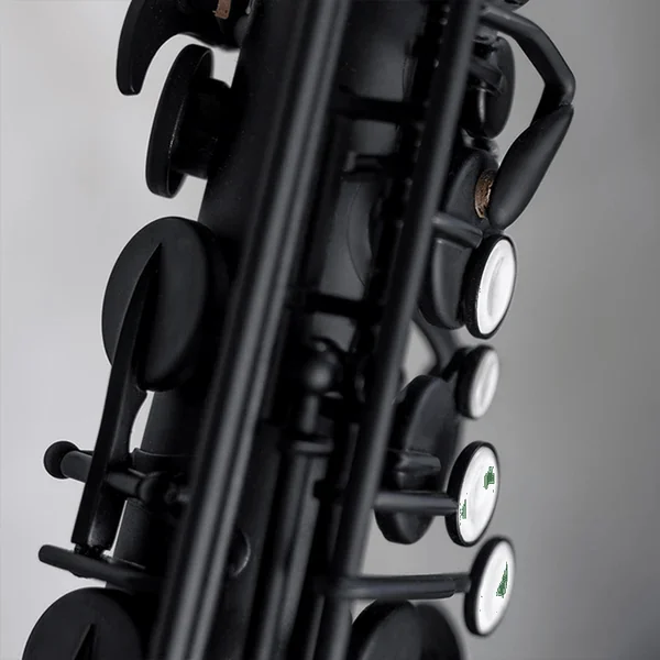 Stalaxy "Eclipse" Altsaxofoon Zwart