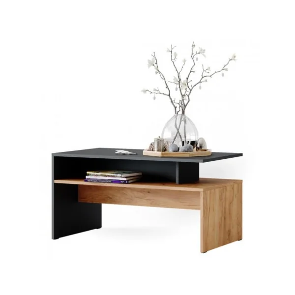 Table basse chêne et anthracite Archi table salon rectangulaire table basse avec rangement
