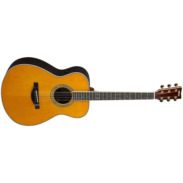 Transacoustic LS-TA - vintage tint