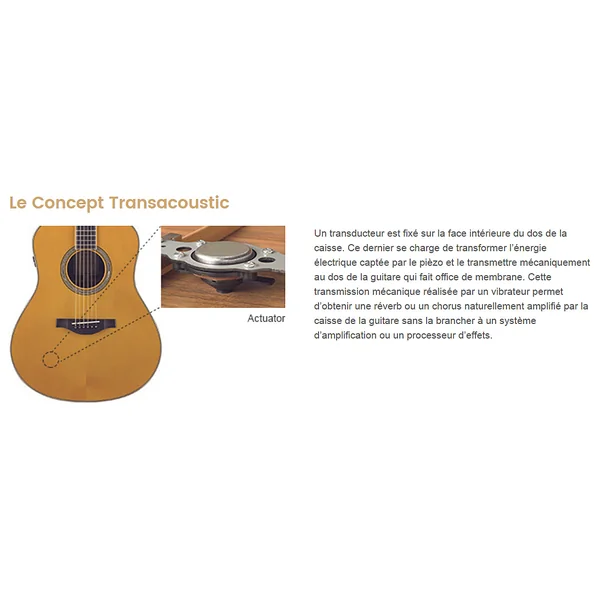 Transacoustic LS-TA - vintage tint