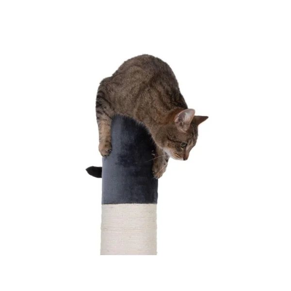 Tronc à griffer chat gris foncé 107 cm griffoir chats grattoir chat