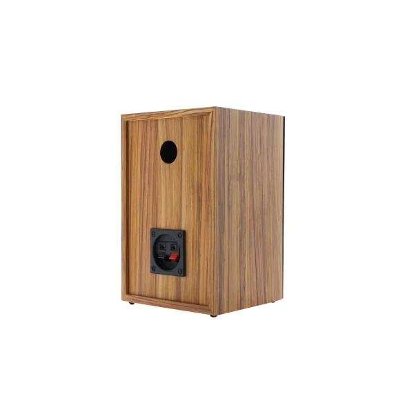 VISION2 SET WDL Enova Hifi - Platine vinyle + enceintes Hifi USB bluetooth bois